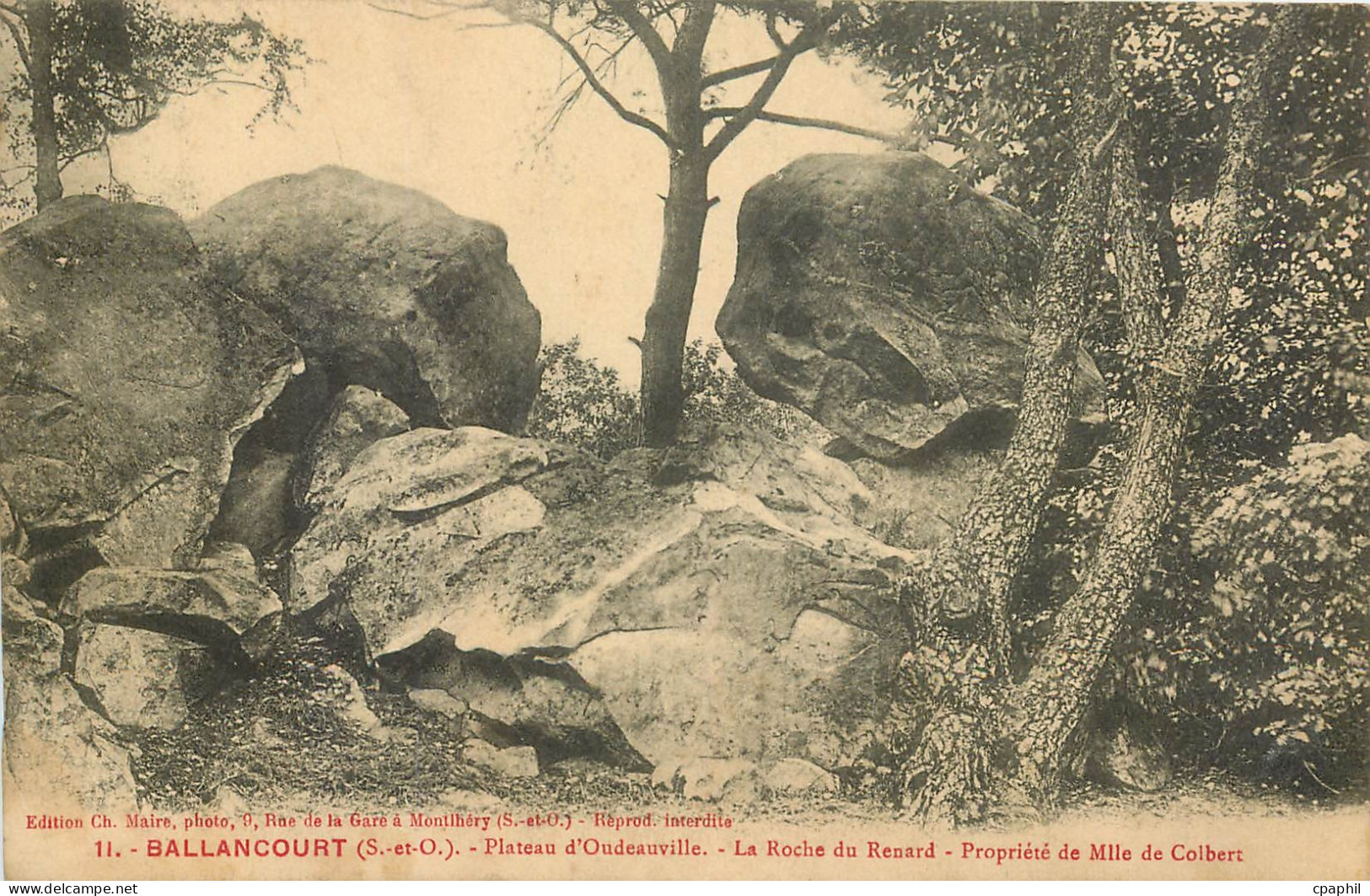 CPA Ballancourt S et O Plateau d'Oudeuvile La Roche du Renard