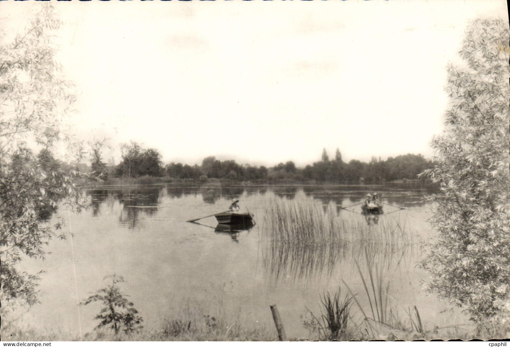 CPA Ballancourt Seine et Oise Etang Fleuri