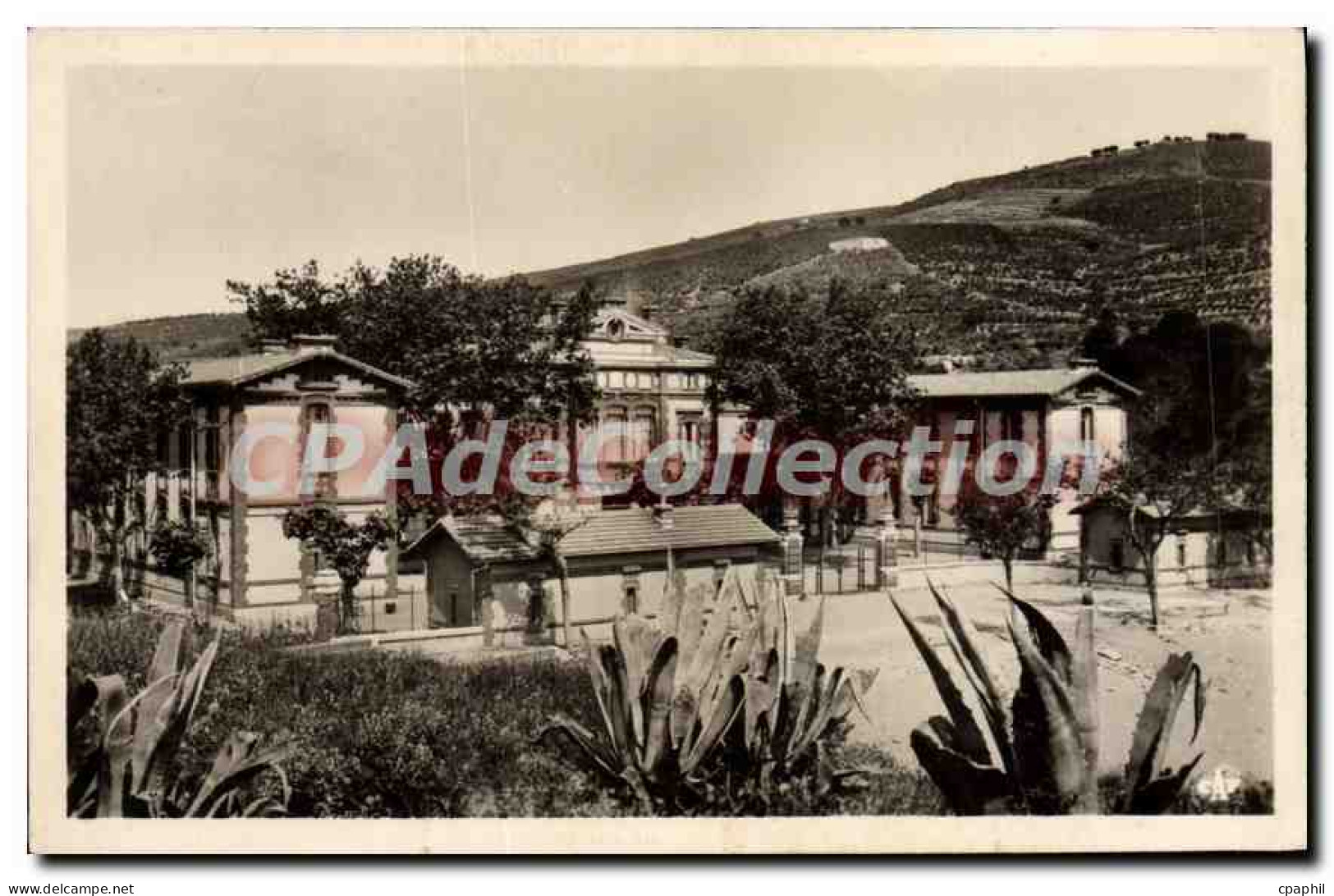 CPA Banyuls Sur Mer Sanatorium Maritime