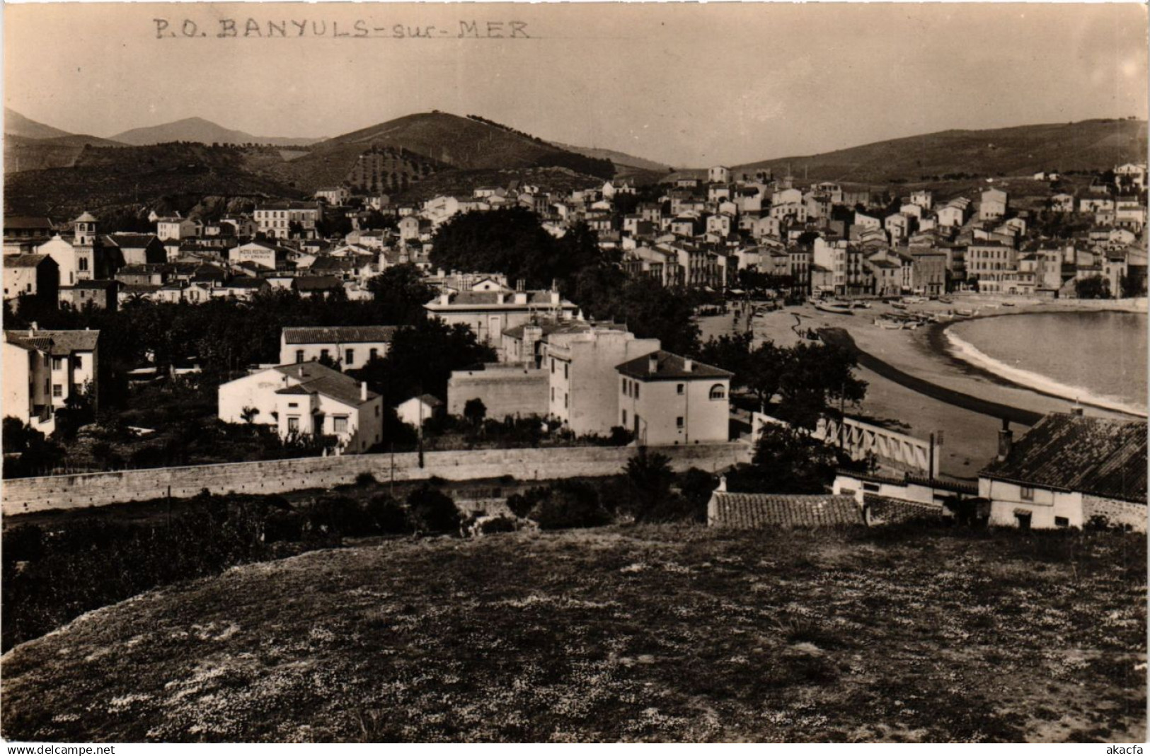 CPA BANYULS-sur-MER - Vue panoramique (451348)