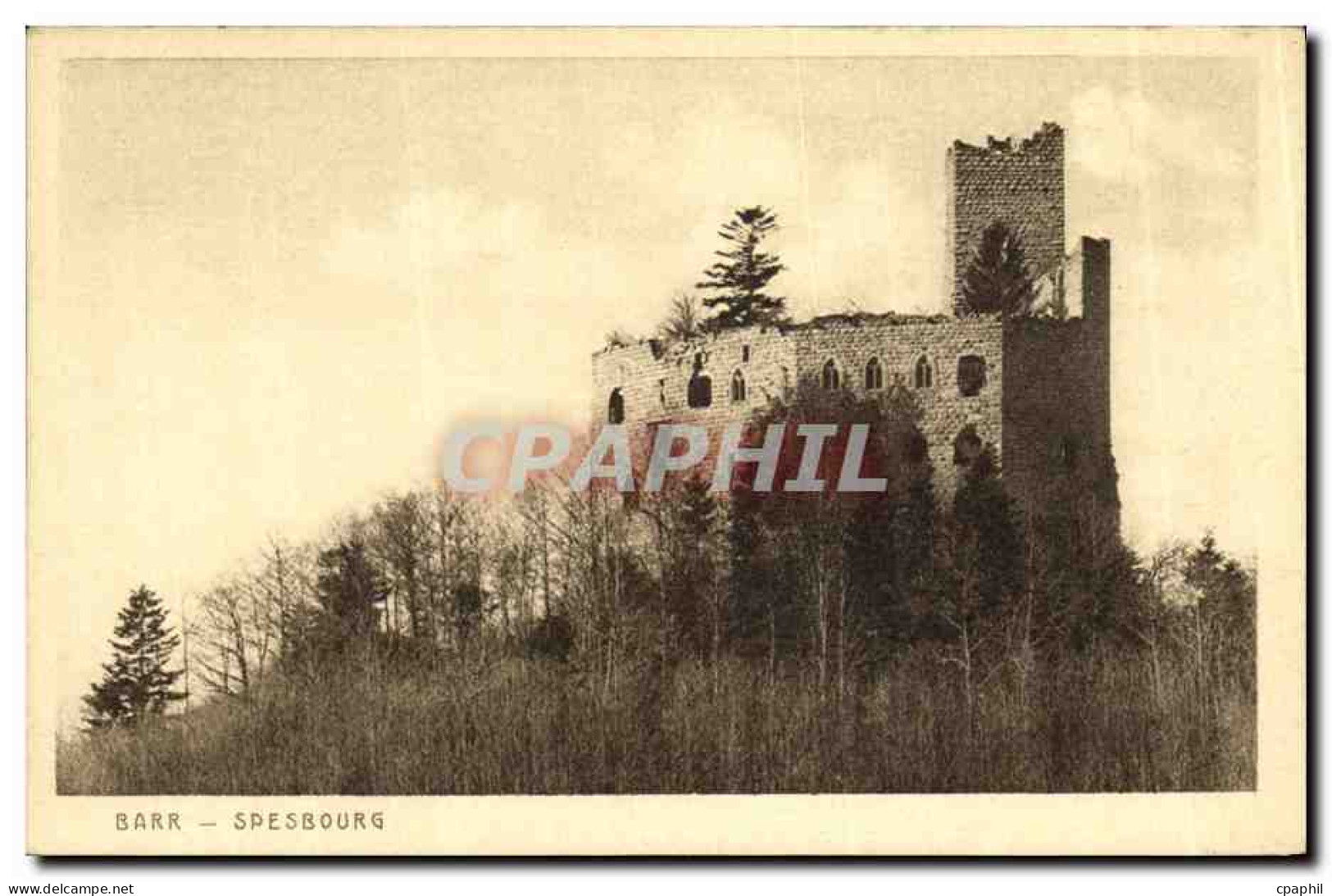 CPA Barr Spesbourg