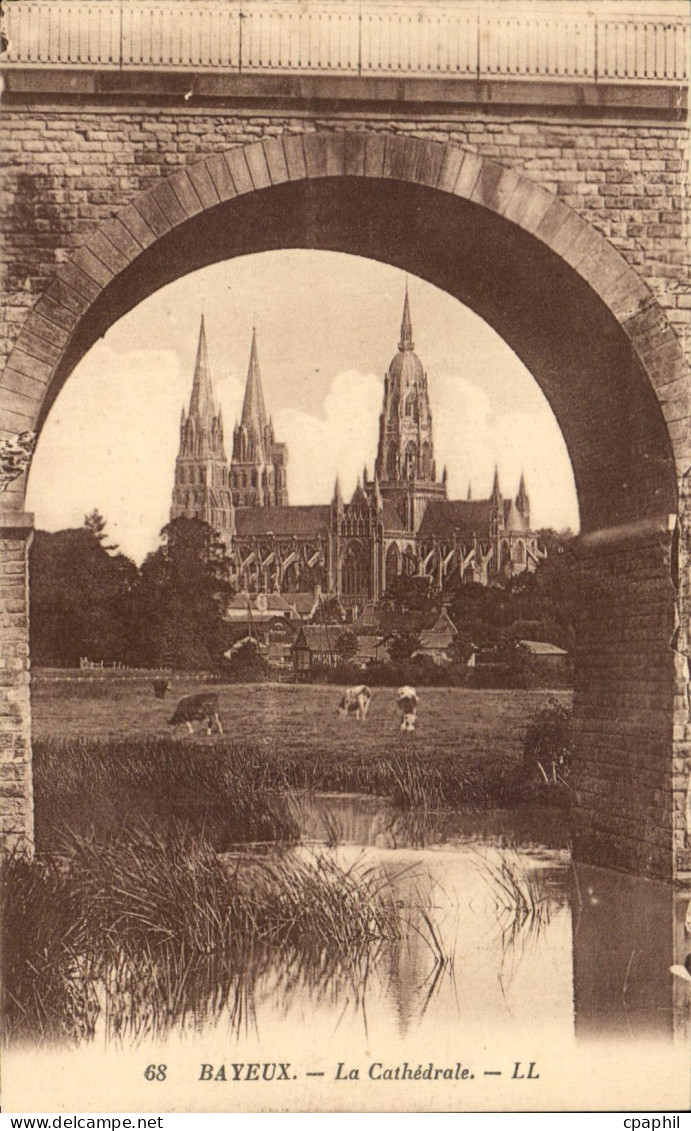 CPA Bayeux La Cathedrale Vaches