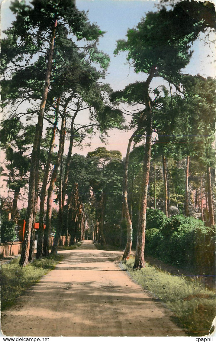 CPA Beauchamp S et O Avenue des Sapins