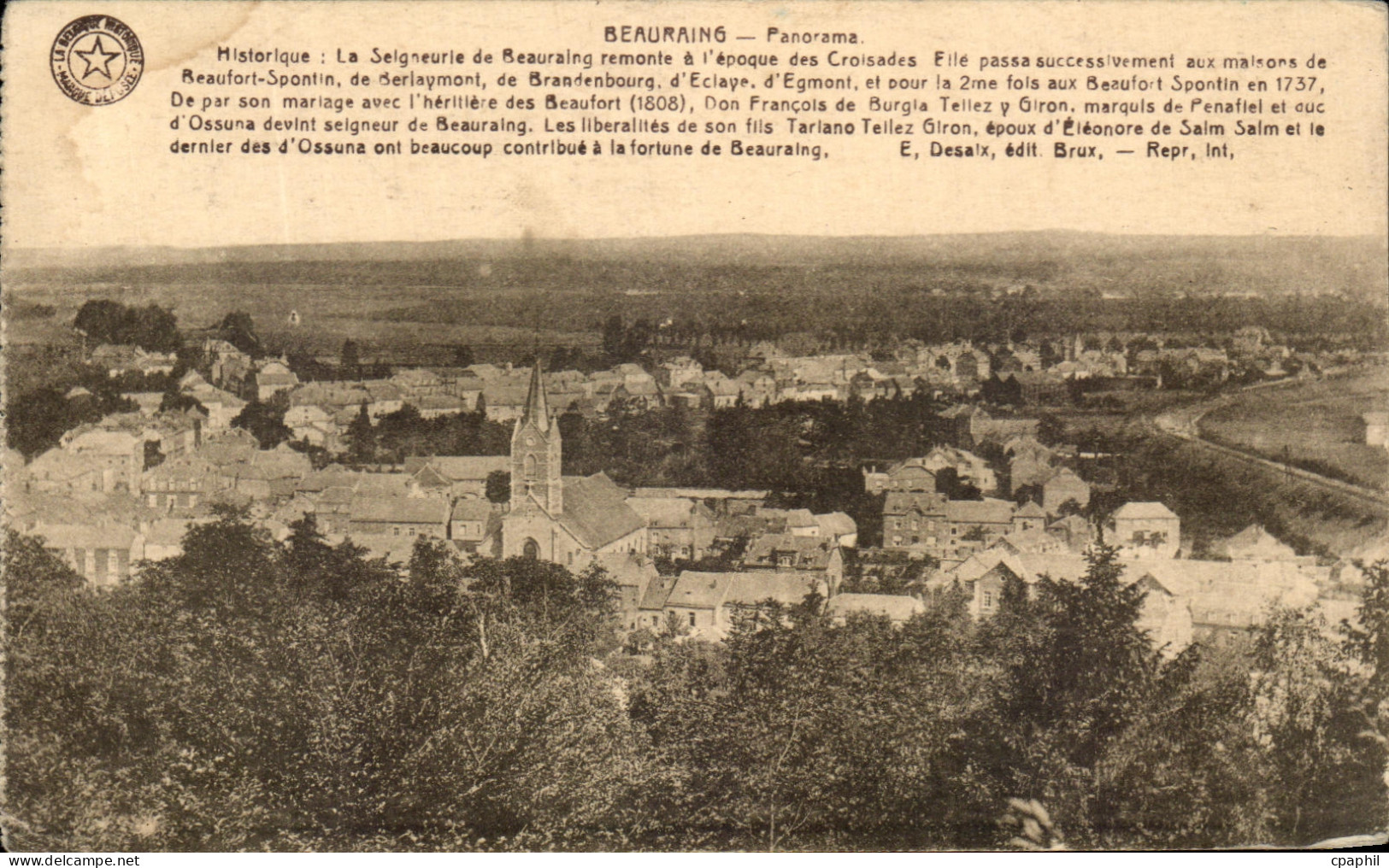 CPA Beauraing Panorama