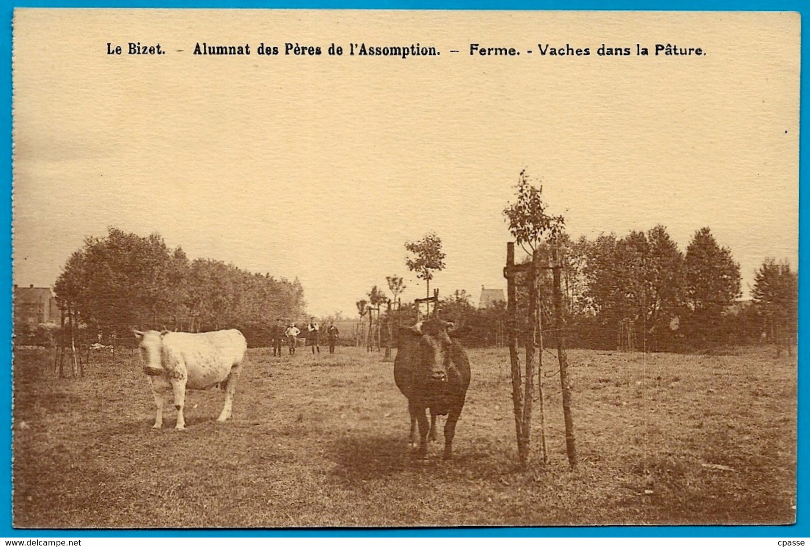 CPA Belgique Belgie Hainaut COMINES-WARNETON KOMEN-WAASTEN *PLOEGSTEERT* Alumnat LE BIZET Ferme