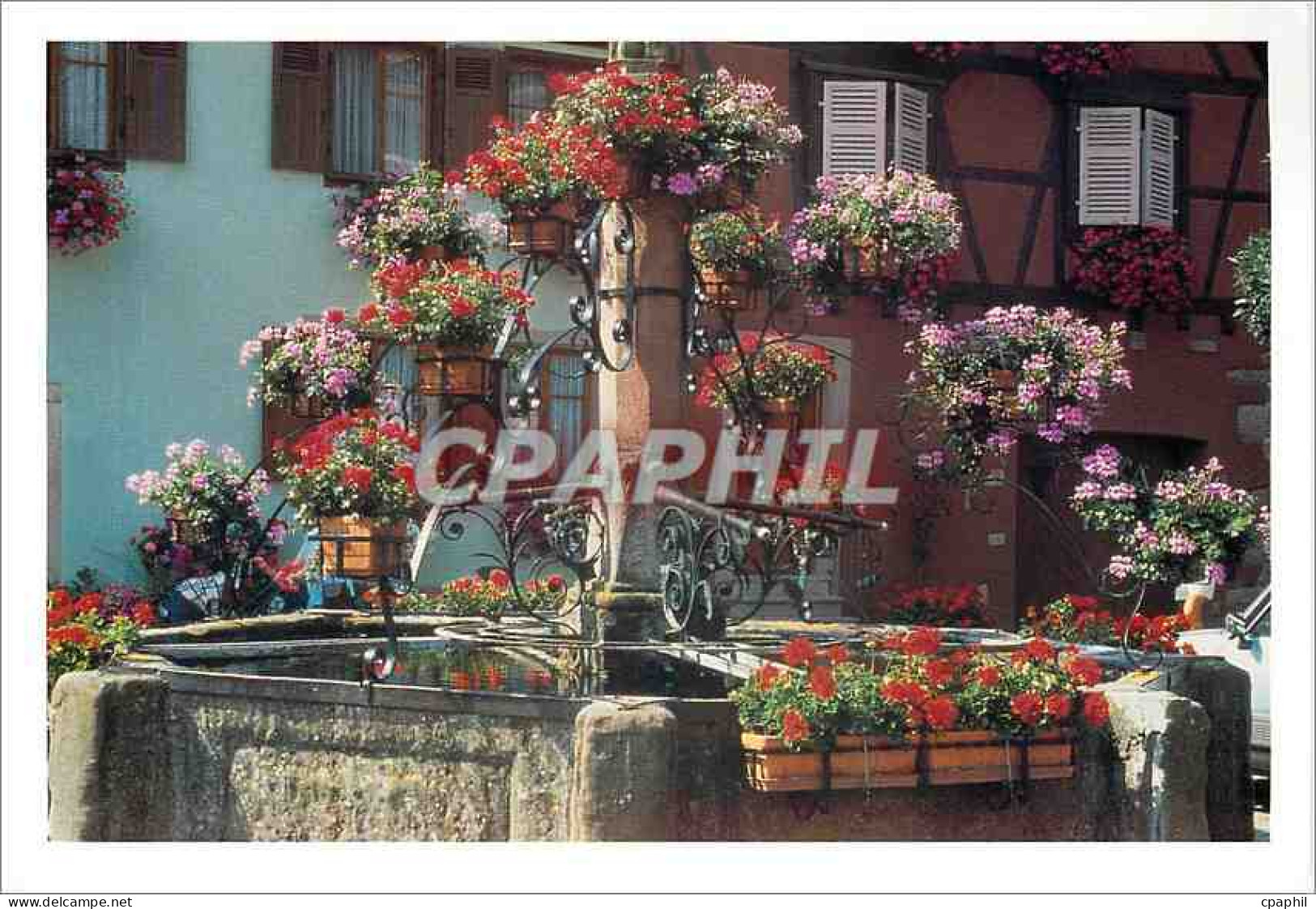 CPA Bergheim Hueber Haut Rhin