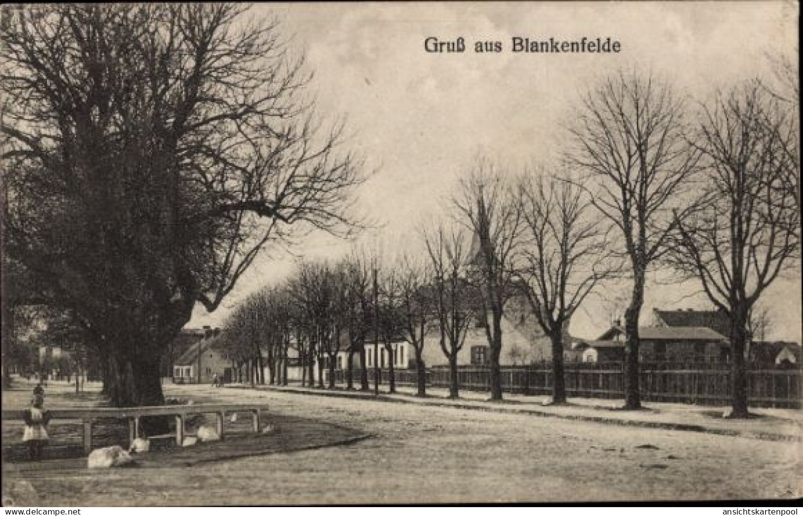 CPA Berlin Pankow Blankenfelde, Straße