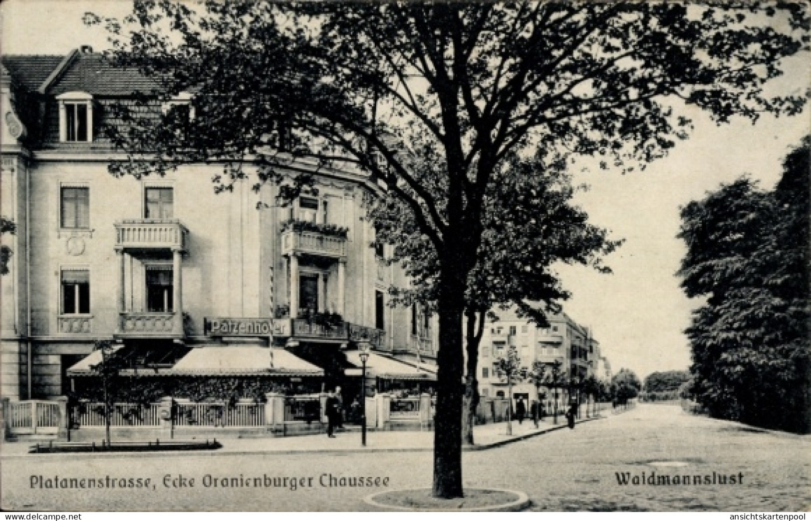 CPA Berlin Reinickendorf Waidmannslust, Platanenstraße, Oranienburger Chaussee