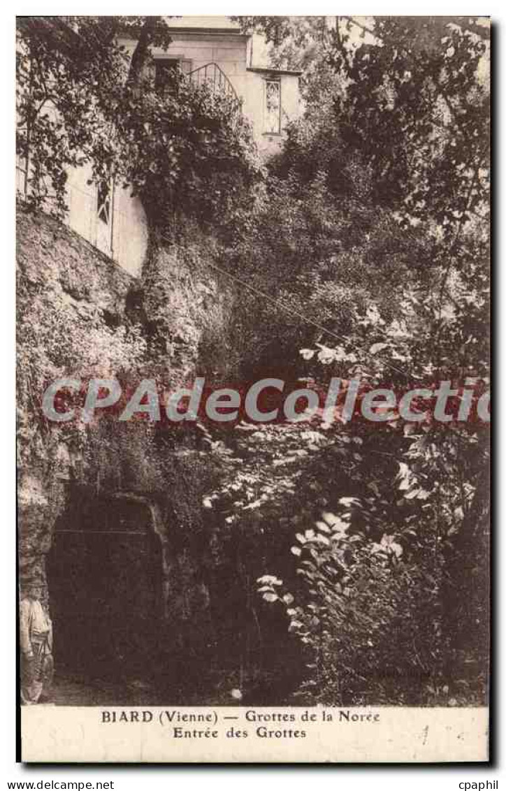 CPA Biard (Vienne) Grottes de la Noree