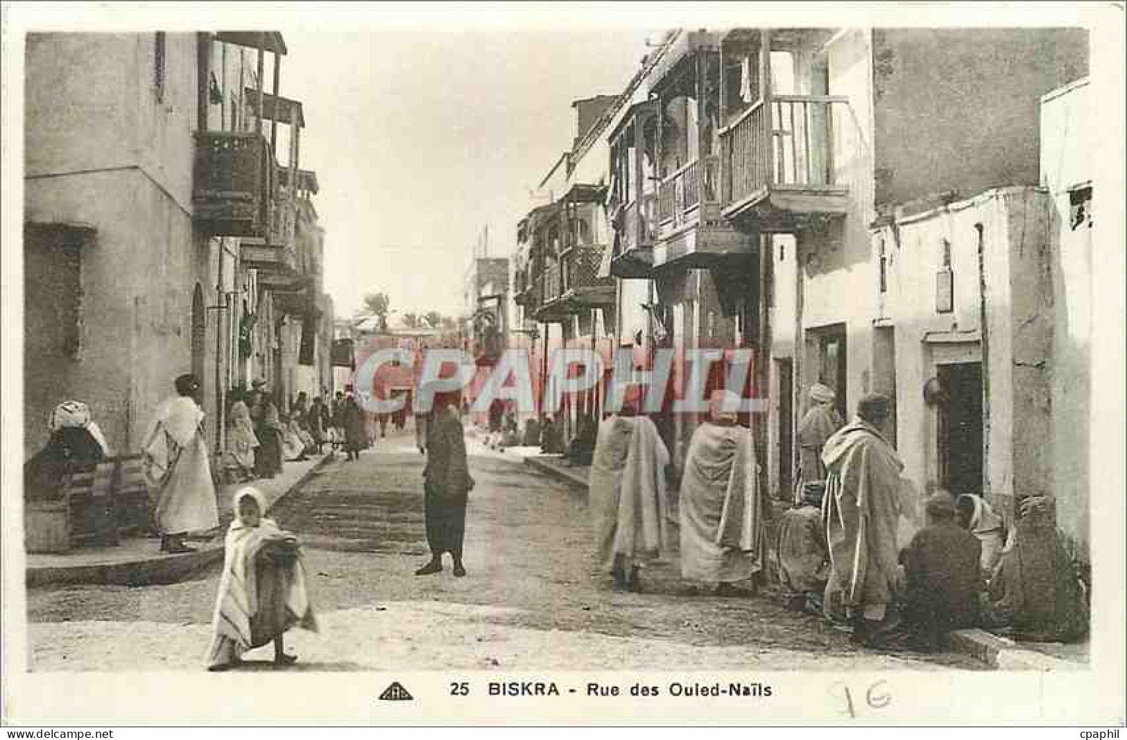 CPA Biskra Rue des Ouled Nails