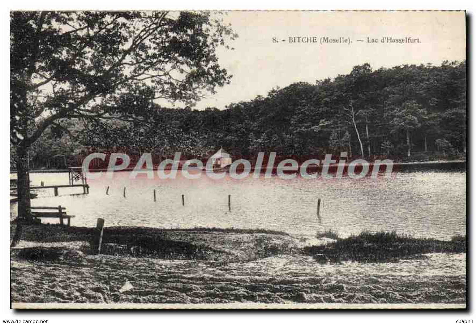 CPA Bitche Lac D'Hasselfurt
