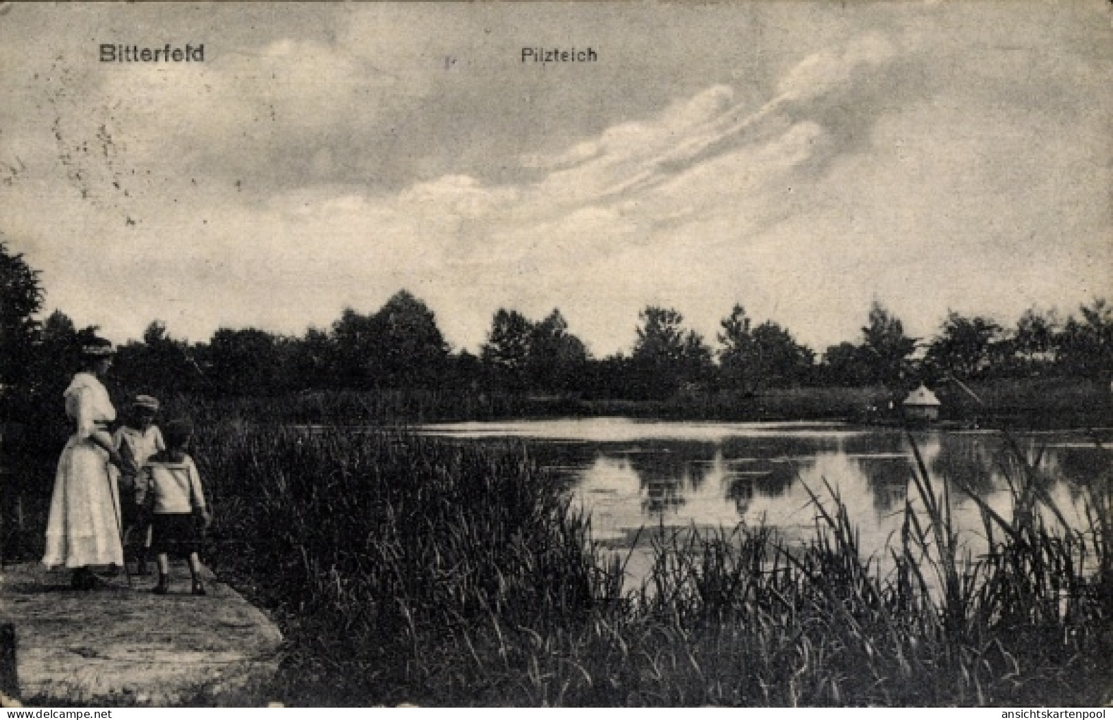 CPA Bitterfeld in Saxe Anhalt, Pilzteich