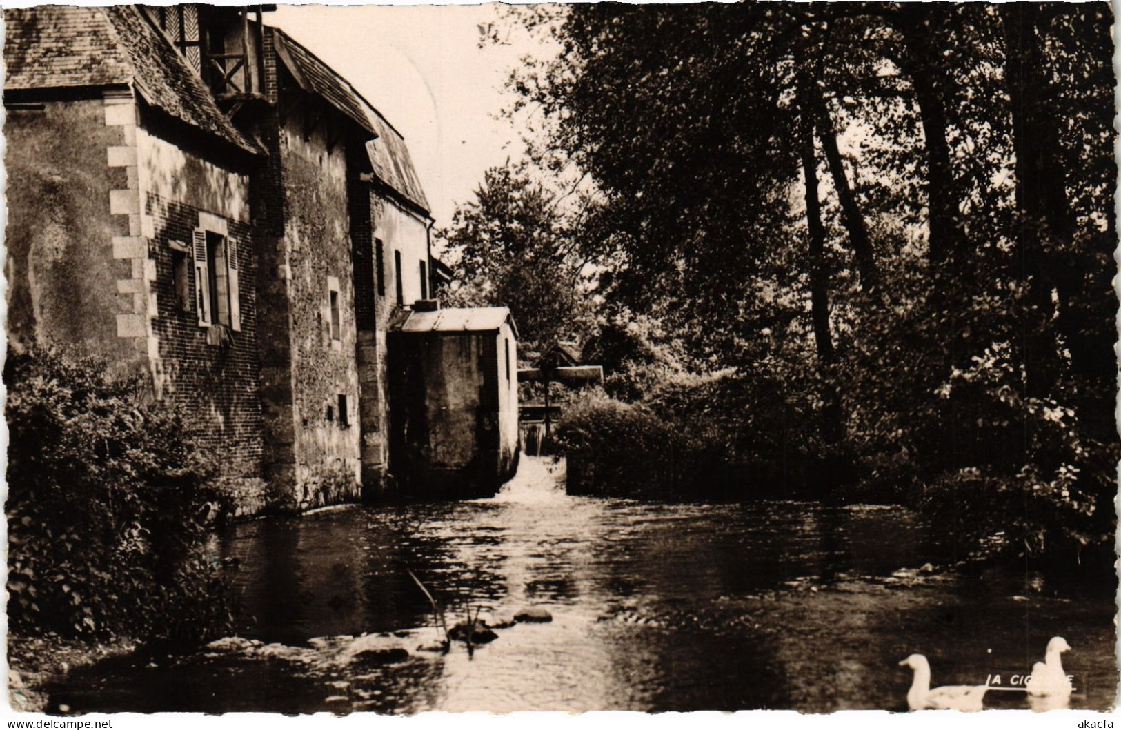 CPA Bleneau Moulin du Bazin FRANCE (1451783)