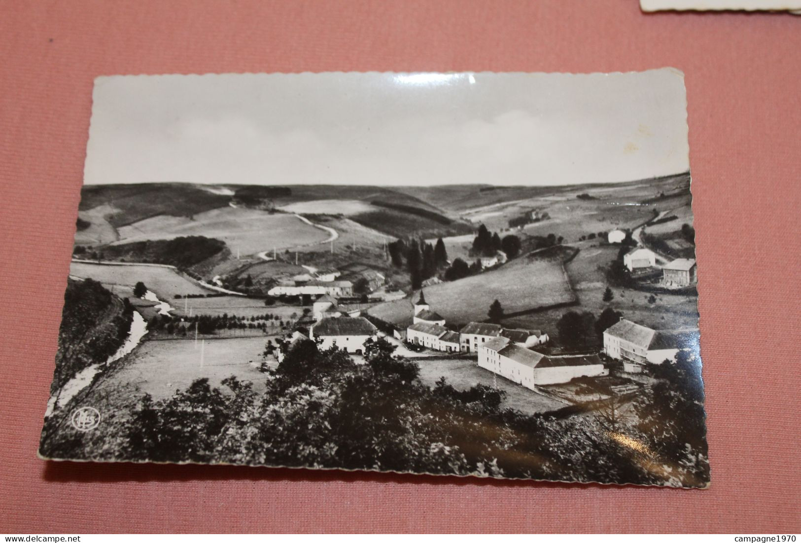 CPA - BODANGE SUR SURE ( FAUVILLERS ) - PANORAMA