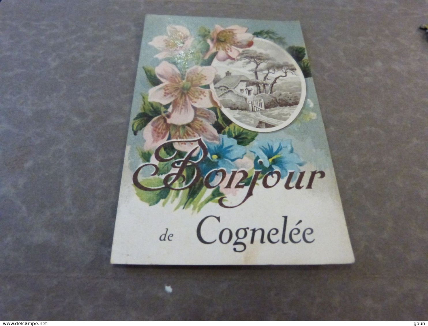 Cpa  Bonjour de Cognelée Eghezée