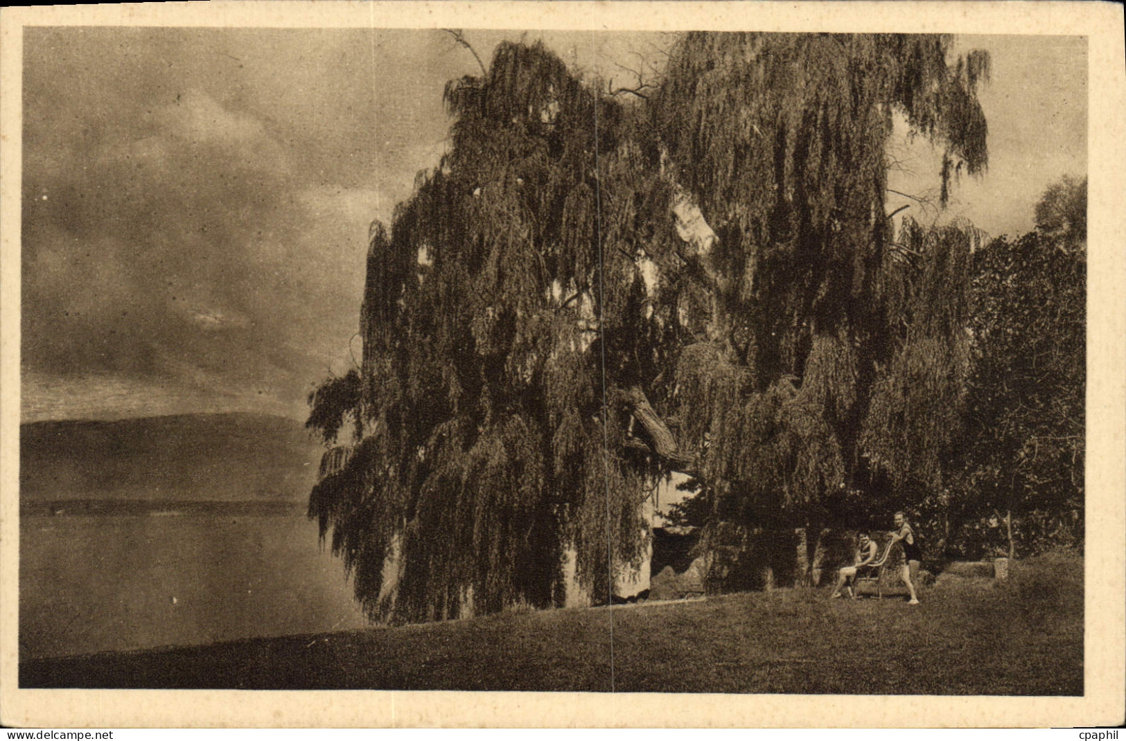 CPA Bord du Lac Leman Messery Hte Savoie