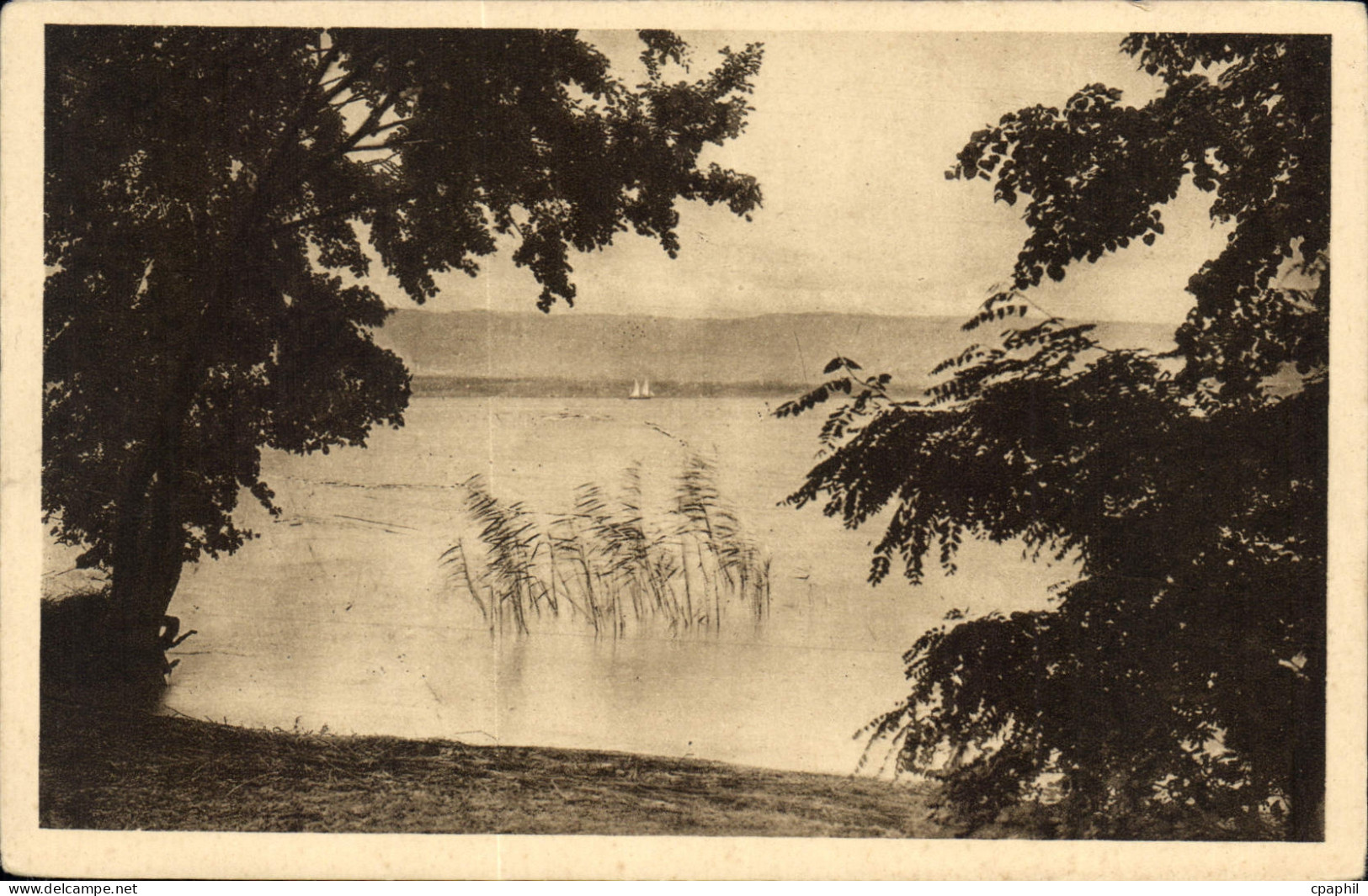 CPA Bord du Lac Leman Messery Hte Savoie