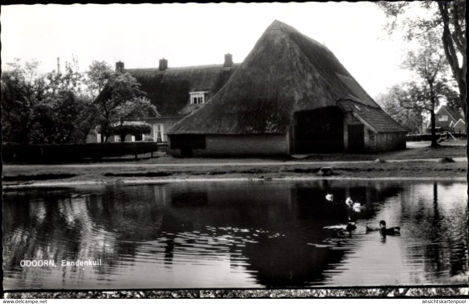 CPA Borger Odoorn Drenthe Niederlande, Eendenkuil