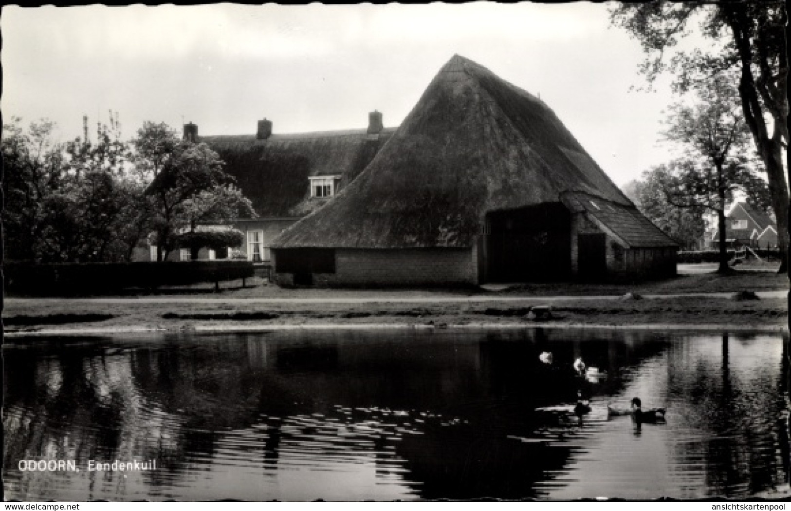 CPA Borger Odoorn Drenthe Niederlande, Eendenkuil