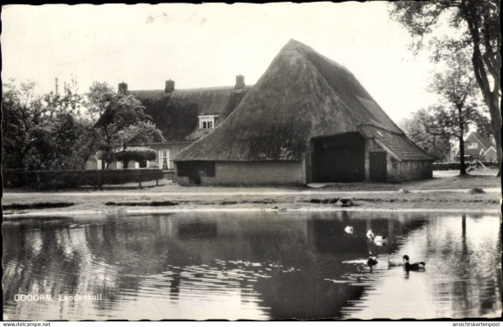 CPA Borger Odoorn Drenthe Niederlande, Eendenkuil