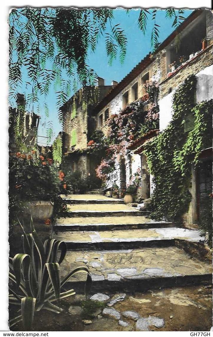 CPA BORMES-LES-MIMOSAS