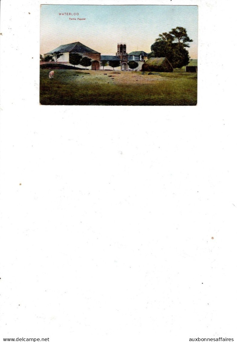 CPA  BRABANT WALLON / WATERLOO  FERME PAPULOT  /     B657
