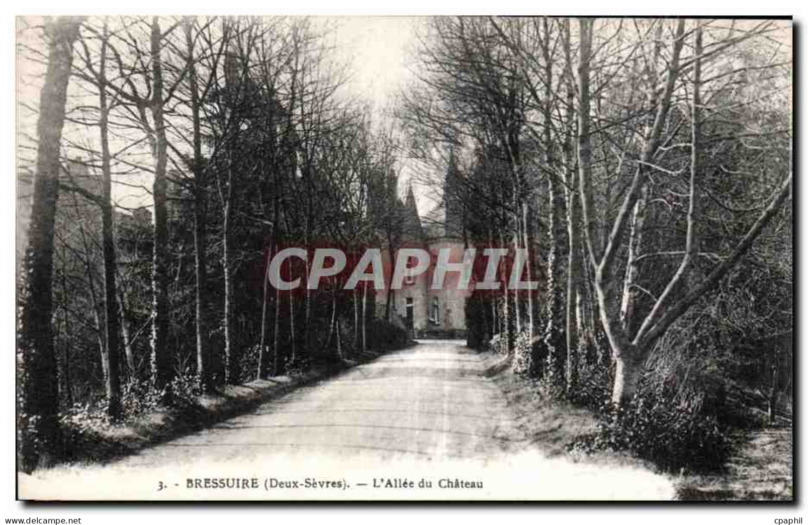 CPA Bressuire (Deux Sevres) L Allee du Chateau