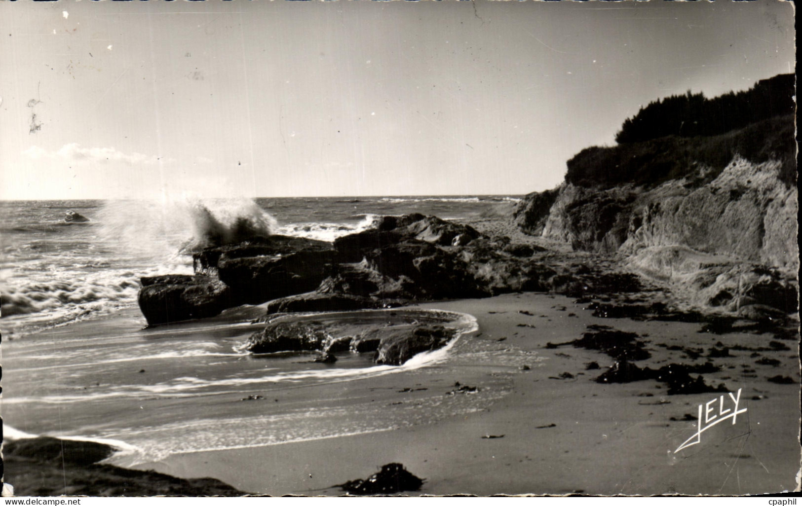 CPA Bretignolles sur Mer La Cote Sauvage