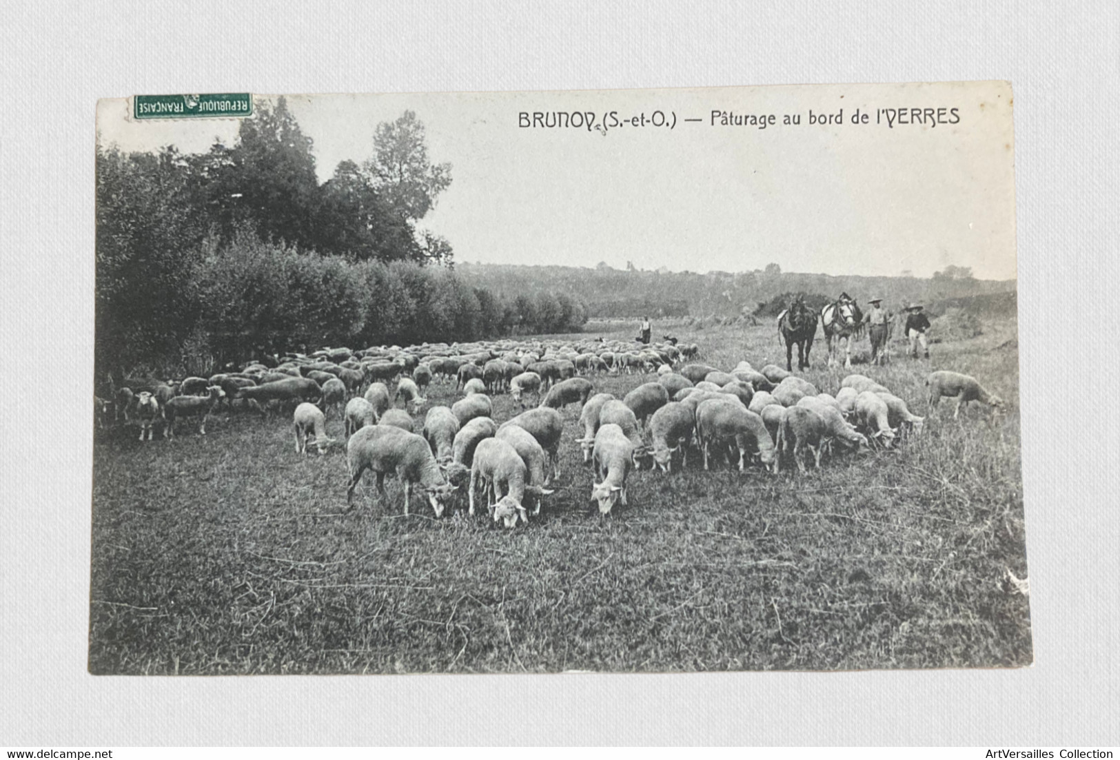 CPA Brunoy - Pâturage au bord de l'Yerres - Moutons Chevaux Bergers Animée Voyagée