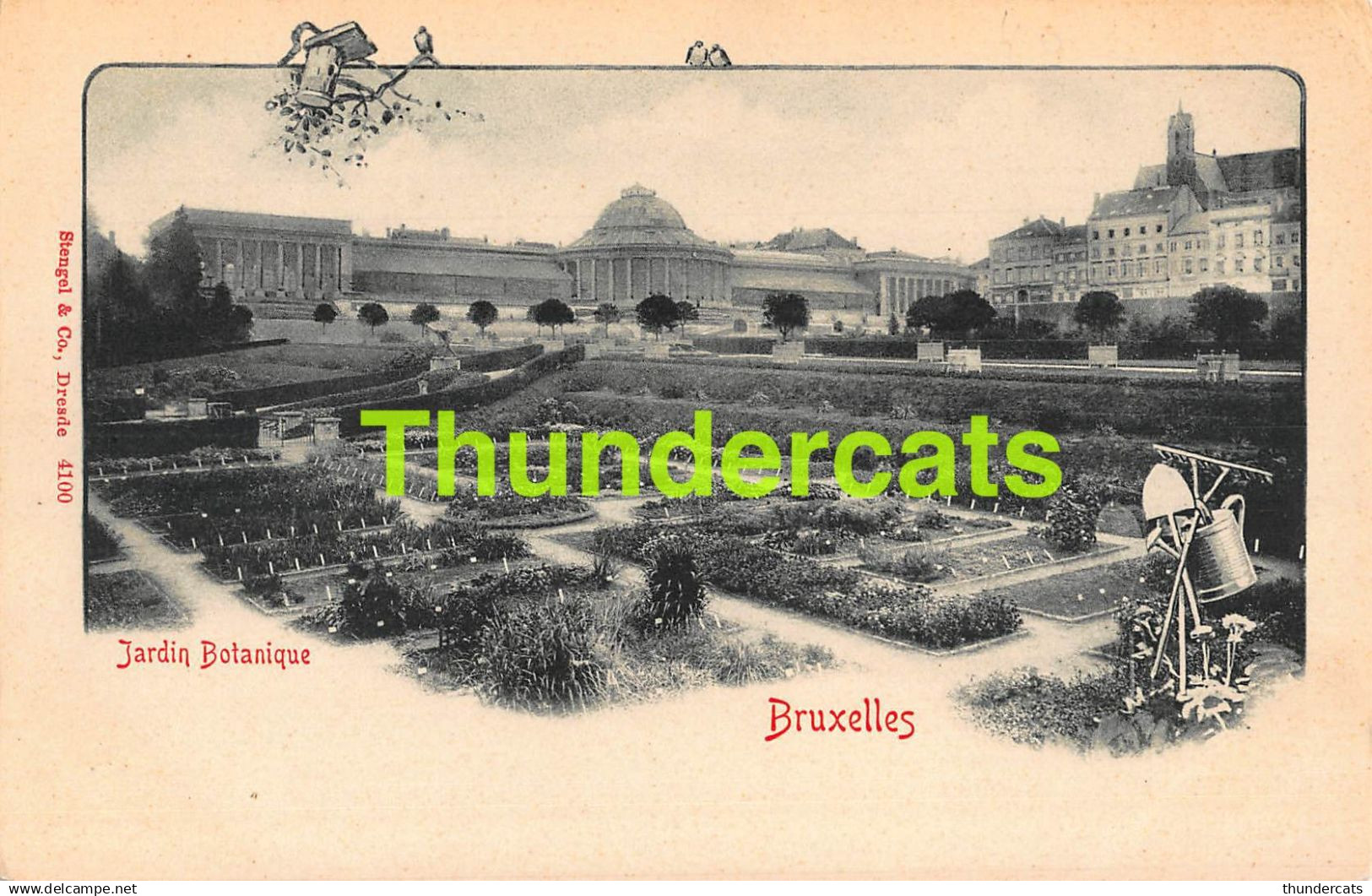 CPA BRUXELLES JARDIN BOTANIQUE