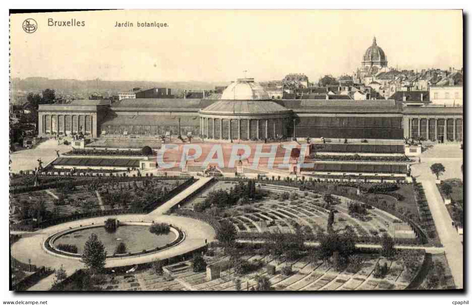 CPA Bruxelles Jardin Botanique
