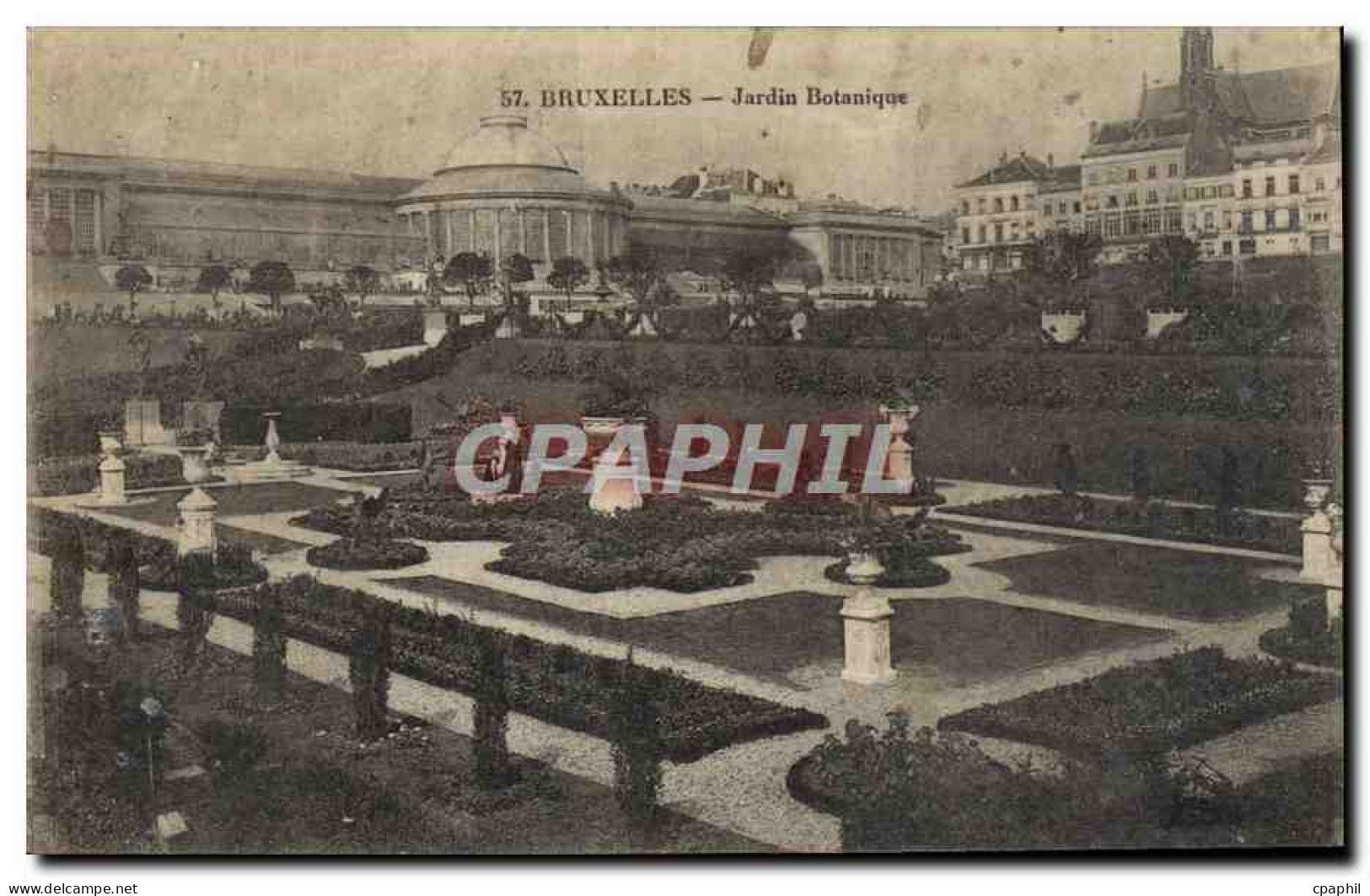 CPA Bruxelles Jardin Botanique