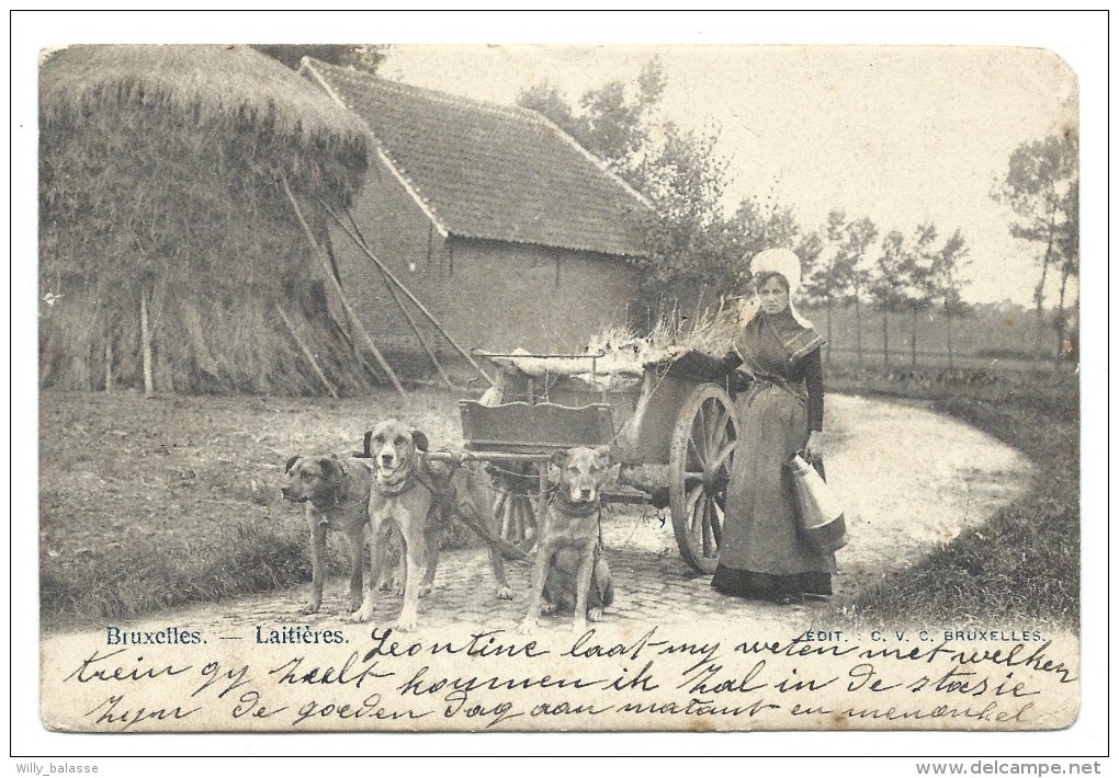 CPA - BRUXELLES - Laitières - Attelage chiens  //
