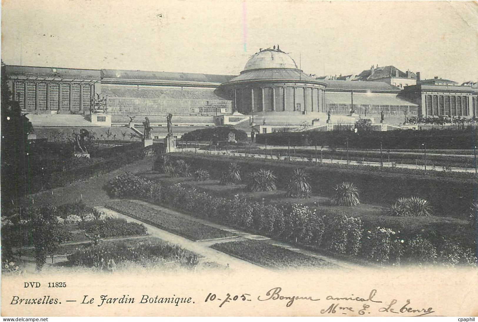 CPA Bruxelles le jardin botanique