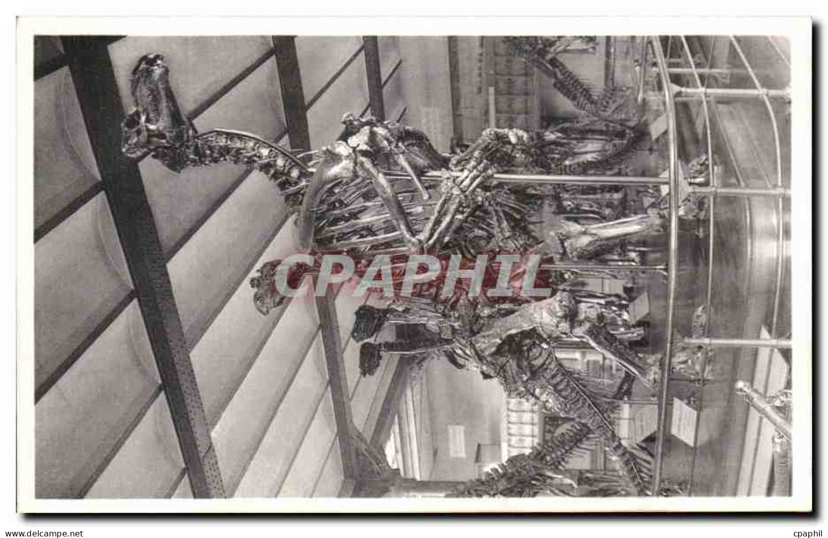 CPA Bruxelles Musee Royal d histoire naturelle Galeries nationales Iguanodons de Bernissart Dinosaure
