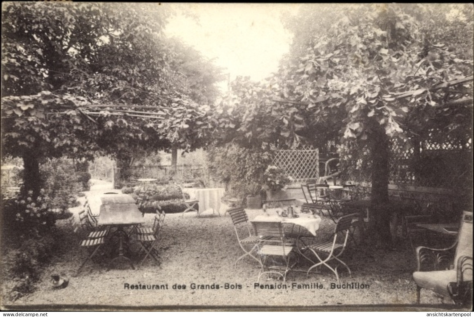 CPA Buchillon Kanton Waadt, Restaurant des Grands Bois, Gartenpartie