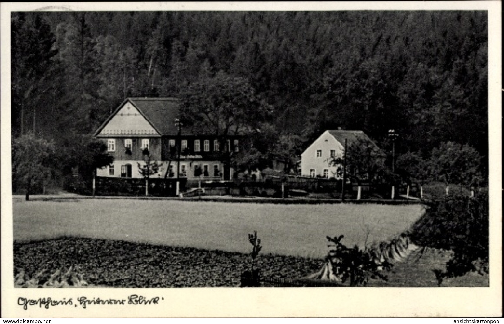 CPA Burkau Sachsen, Gasthaus Heiterer Blick, Walter Wirth, Wald, Feld