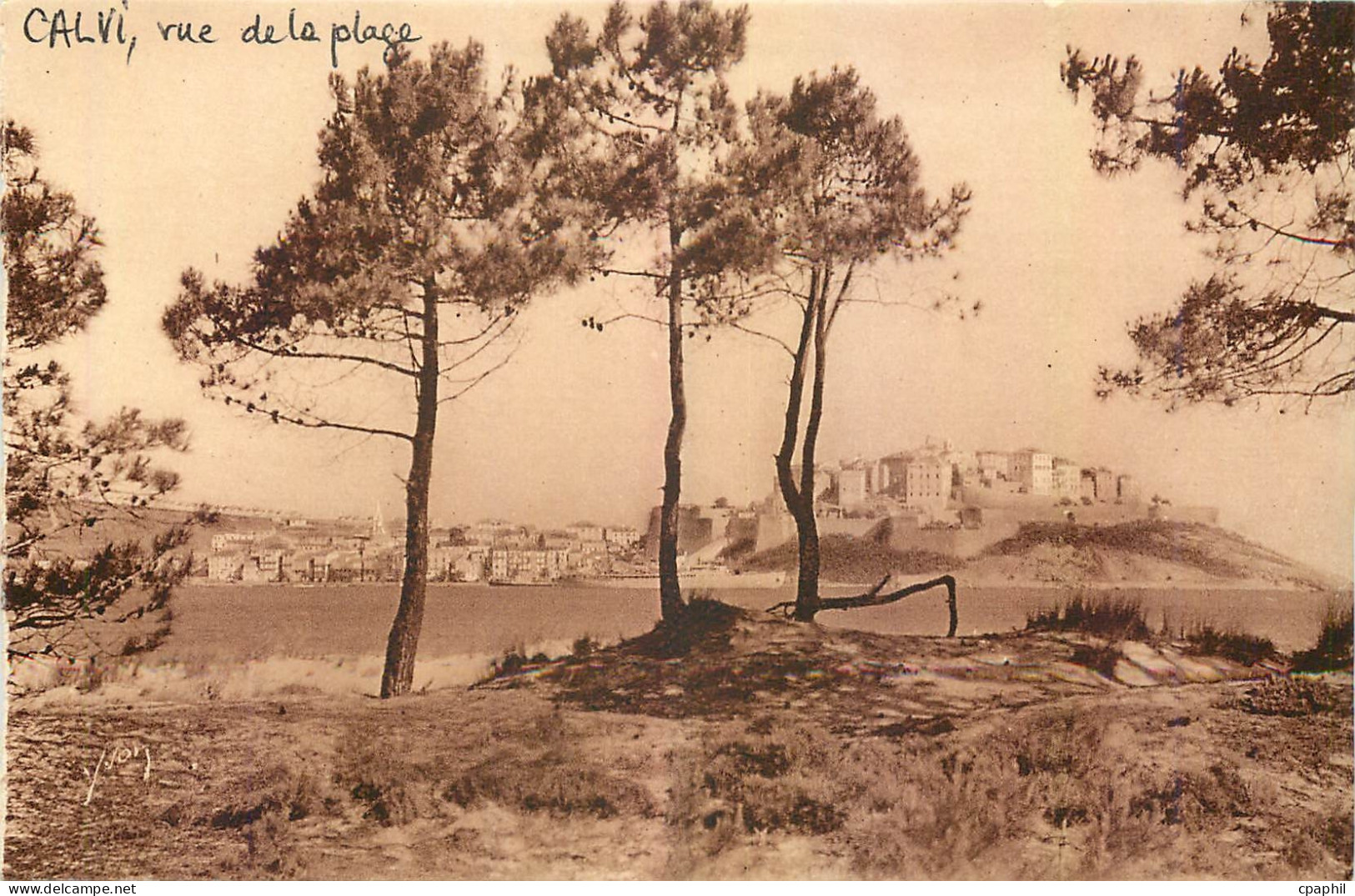 CPA Calvi vue de la plage