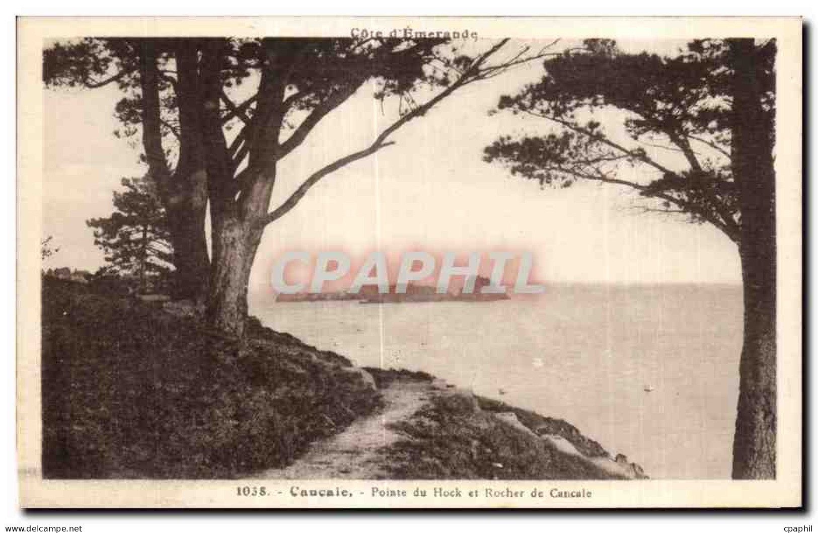 CPA Cancale Pointe du Hock et Rocher de Cancale