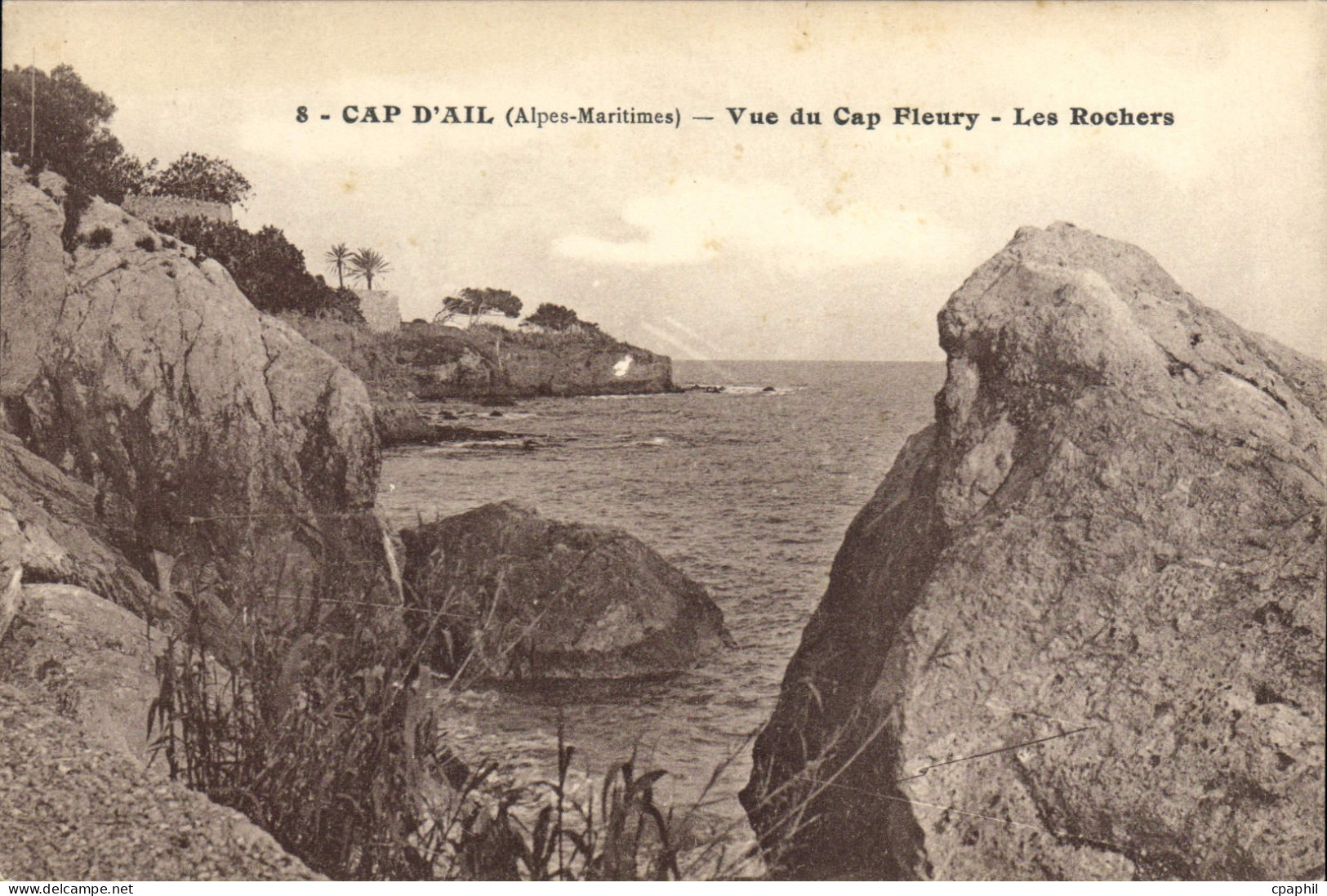 CPA Cap d'Ail Alpes Maritimes Vue du Cap Fleury Les Rochers