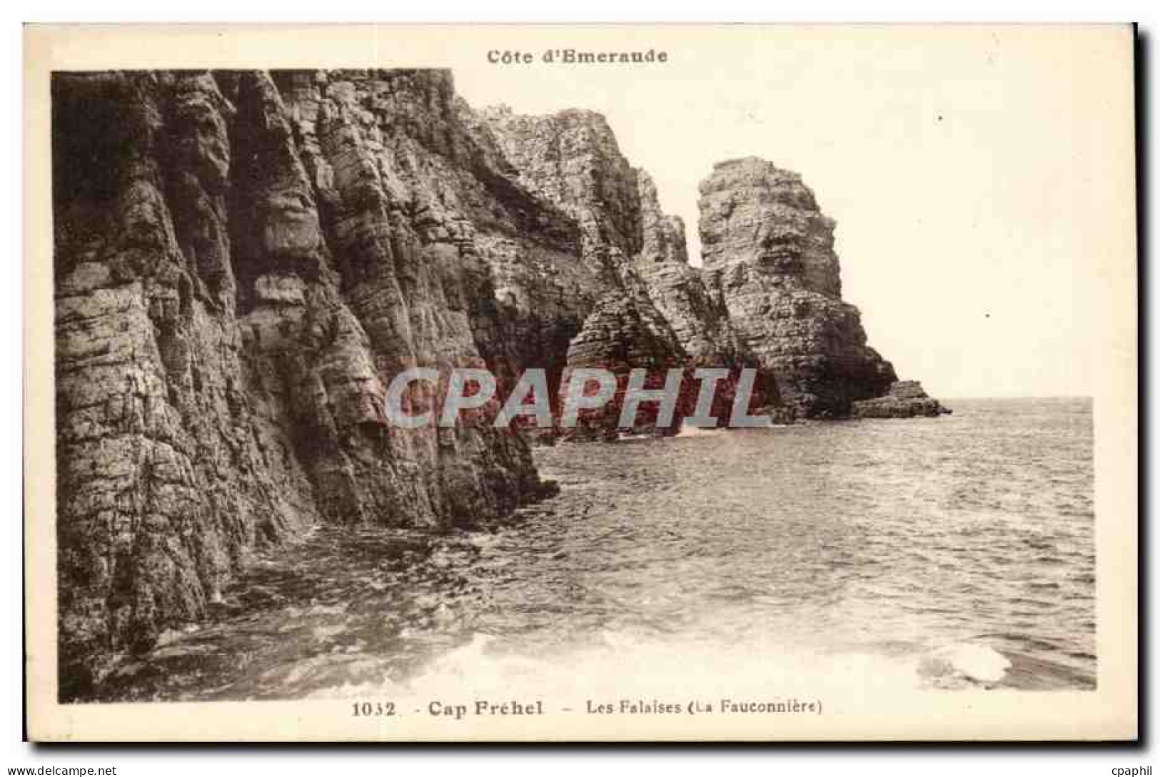 CPA Cap Frehel Les falaises (la fauconnerie)