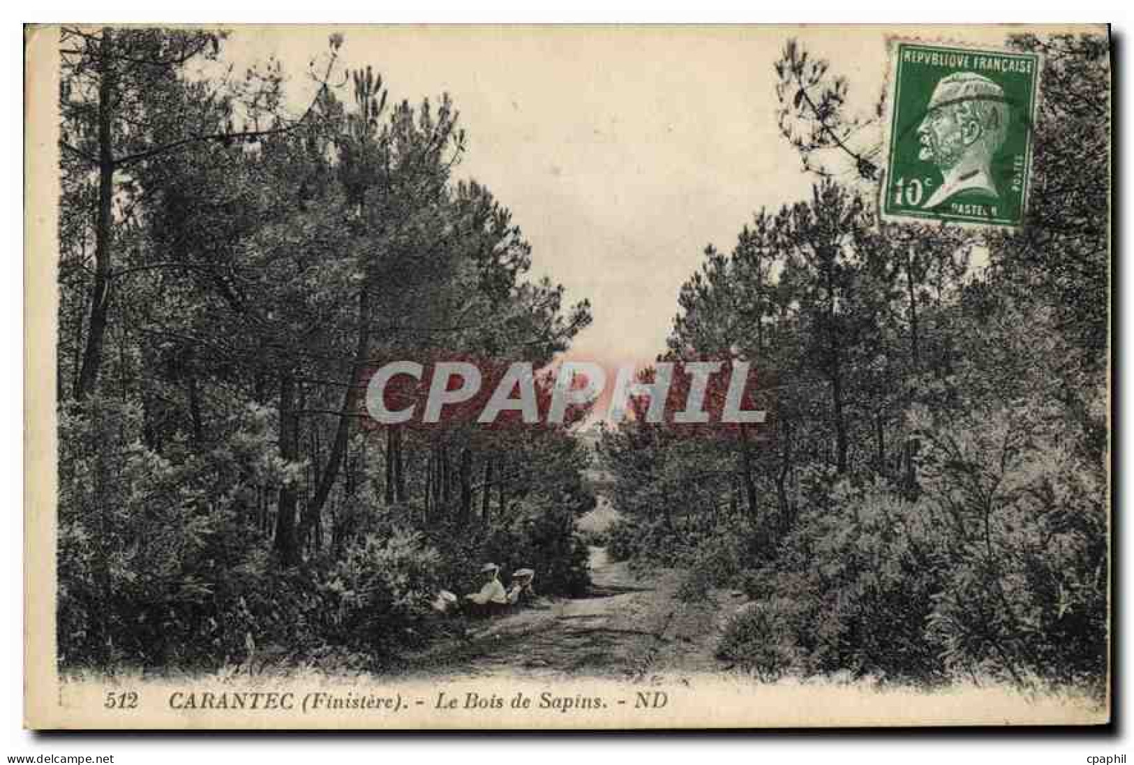 CPA Carantec Finistere le Bois de Sapins