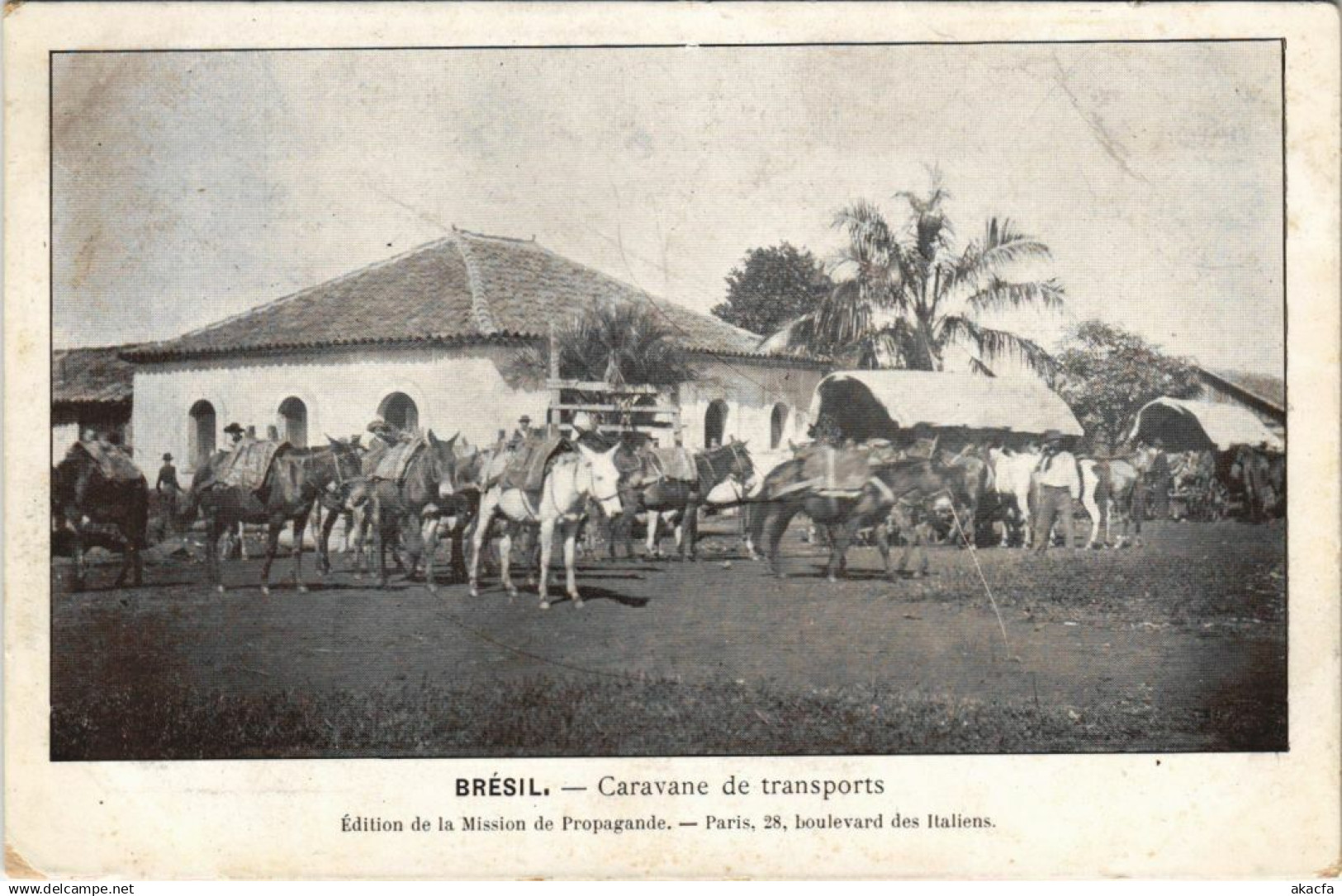 CPA Caravane de Transports BRAZIL (1085116)
