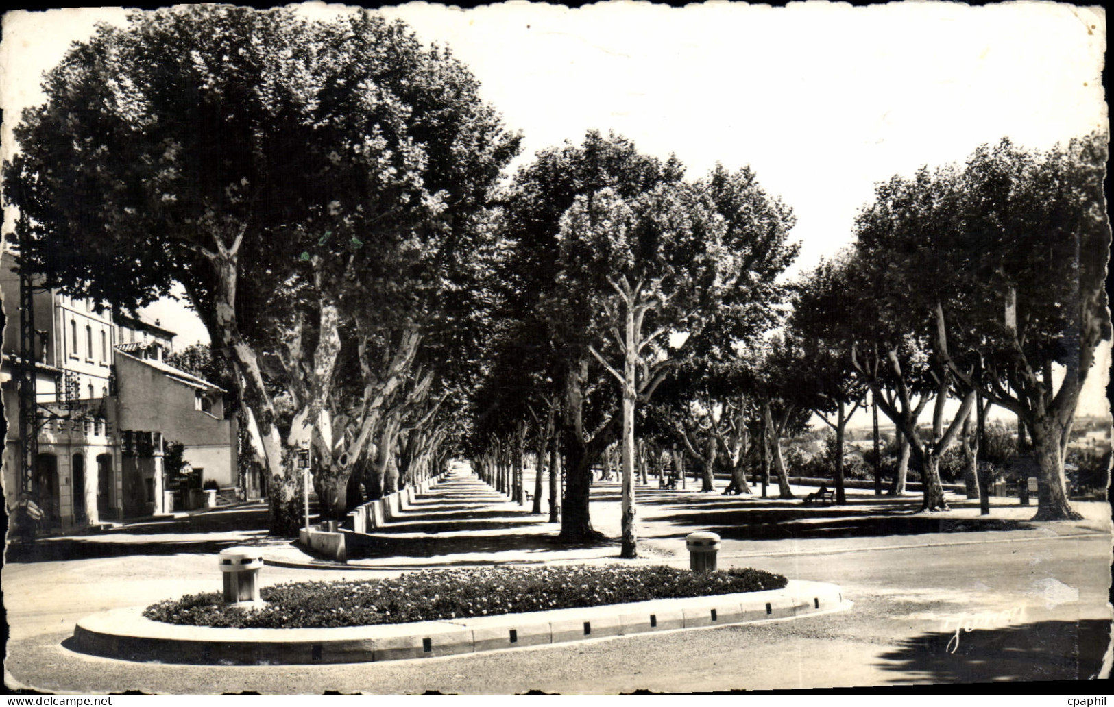 CPA Carpentras Les Allees Jean Jaures