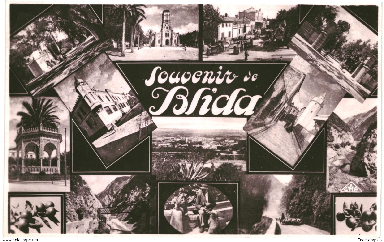 CPA Carte postale Algérie Blida Souvenir de Blida Multi vues  VM91310