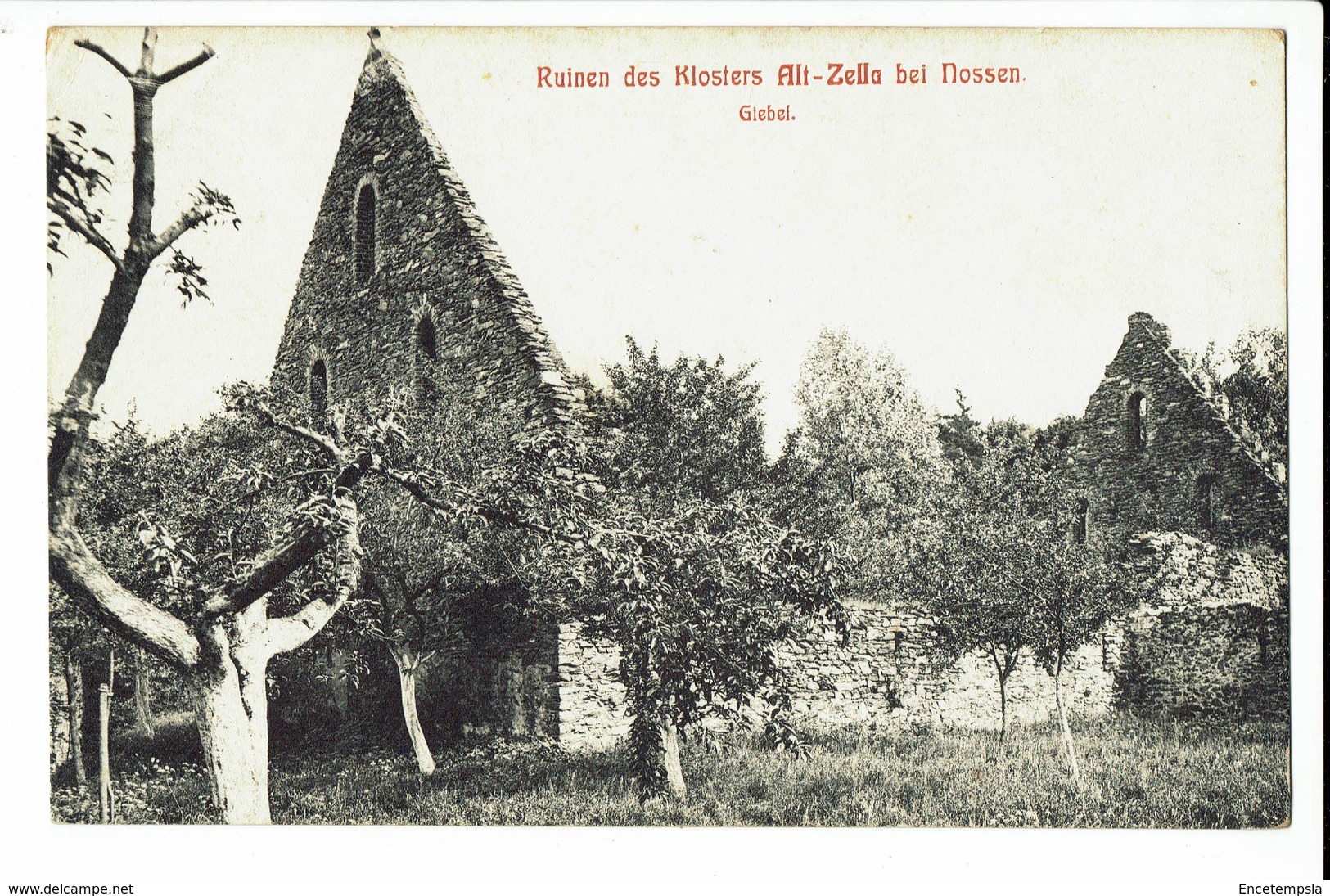 CPA - Carte Postale -Allemagne - Nossen - Ruinen des Klosters Alt Zella bei Nossen - S794