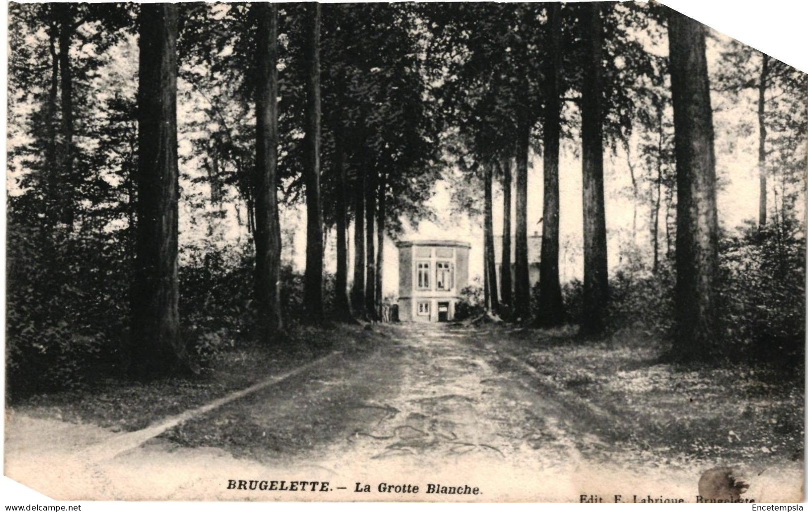 CPA Carte Postale  Belgique Brugelette  La Grotte blanche 1911 VM98016ok