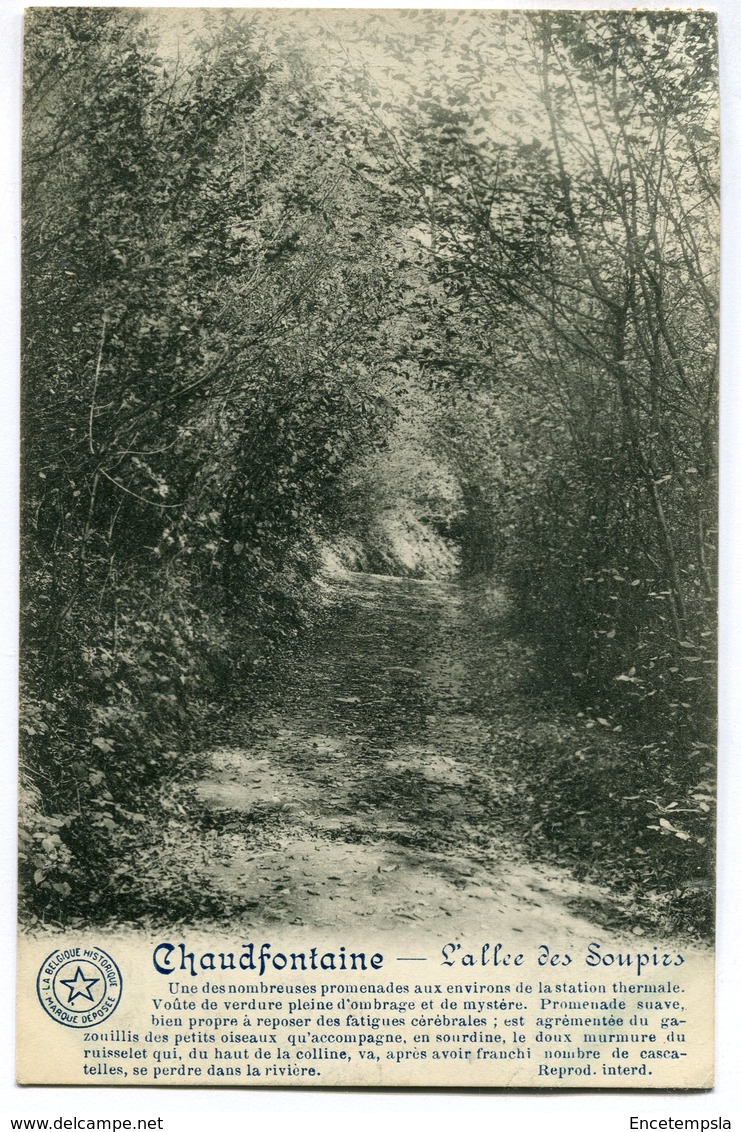 CPA - Carte Postale - Belgique - Chaudfontaine - L'Allée des Soupirs - 1913 (M7401)