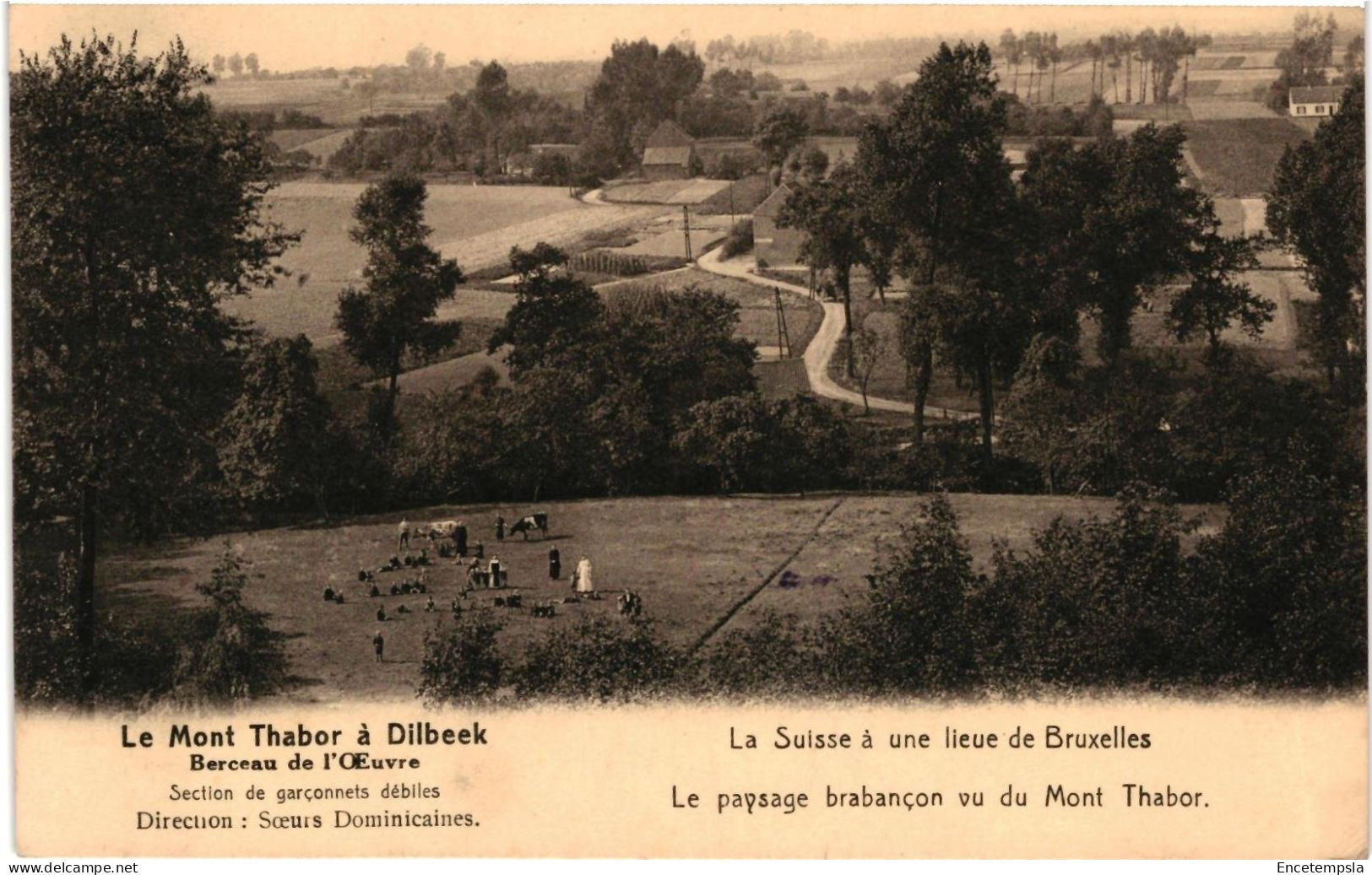 CPA Carte Postale Belgique  Dilbeek Paysage brabançon vu du Mont Thabor     VM103256