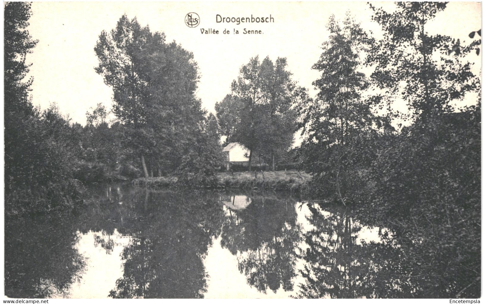 CPA Carte Postale Belgique Droogenbosch  Vallée de la Senne VM78873
